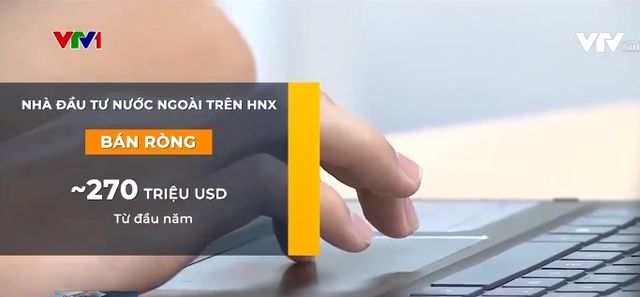 Dự báo lợi nhuận doanh nghiệp niêm yết 2024 hấp dẫn nhà đầu tư - Ảnh 1.