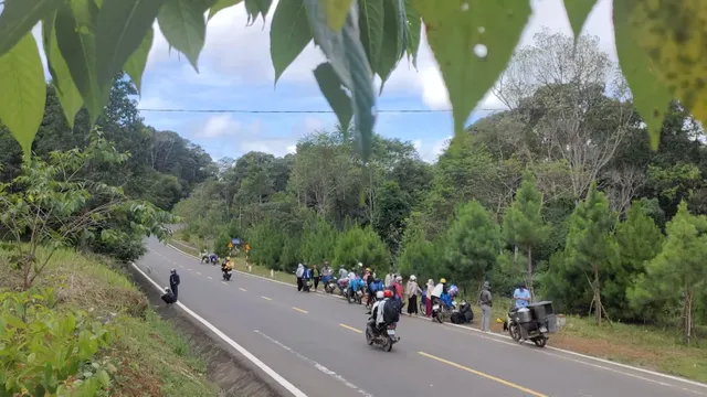 Tây Nguyên hút lao động mùa cà phê - Ảnh 4.