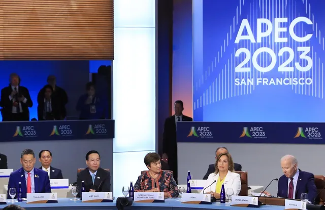 APEC và các đối tác tin tưởng vào vai trò của Việt Nam - Ảnh 3.