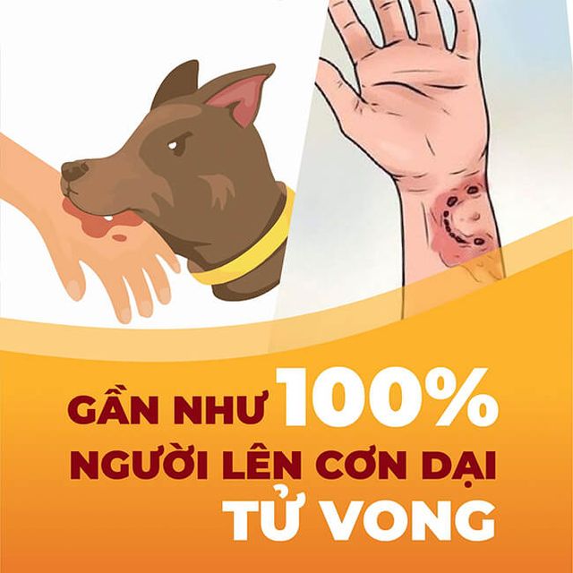 Bệnh dại: Không còn cơ hội sống khi phát bệnh - Ảnh 1.