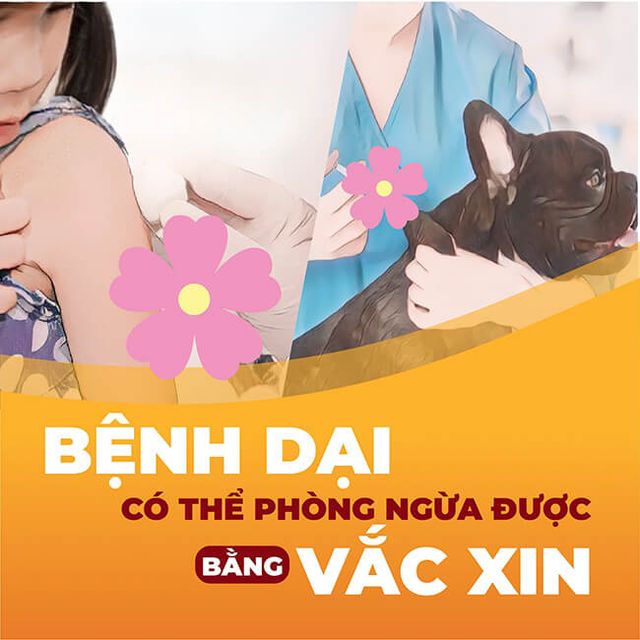 Bệnh dại: Không còn cơ hội sống khi phát bệnh - Ảnh 2.