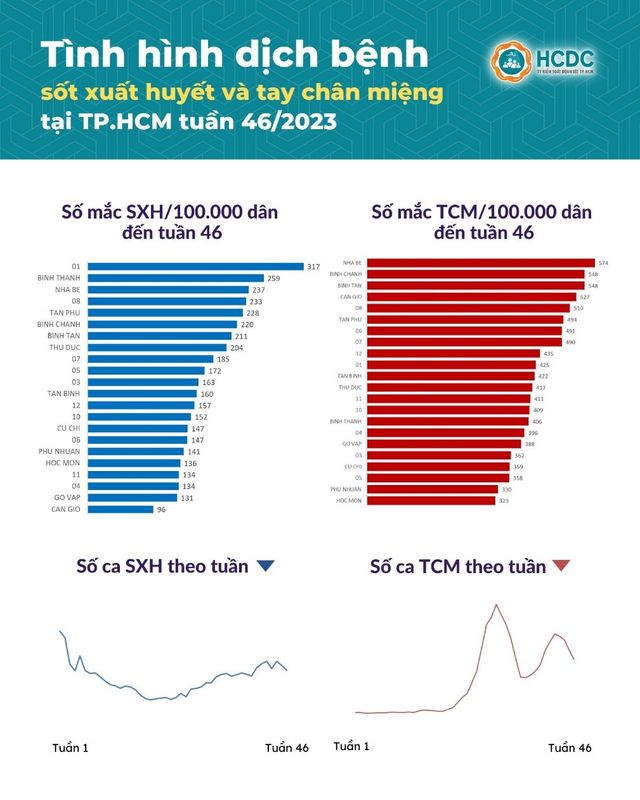 TP. Hồ Chí Minh: Ca mắc tay chân miệng, sốt xuất huyết đều giảm - Ảnh 1.