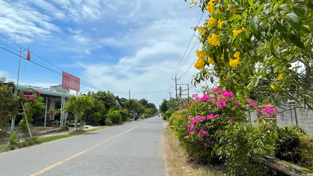 Bà Rịa - Vũng Tàu: Nông thôn mới chuyển mình mạnh mẽ - Ảnh 3.