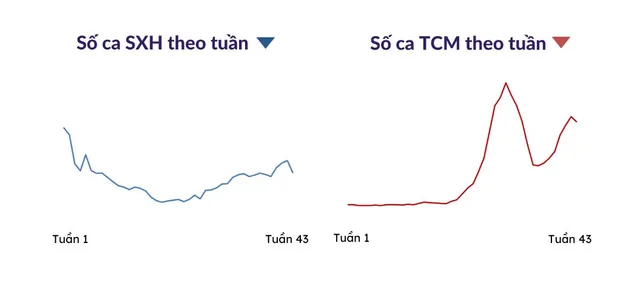 TP Hồ Chí Minh: Bệnh tay chân miệng tăng, nhiều trẻ diễn tiến nặng - Ảnh 4.