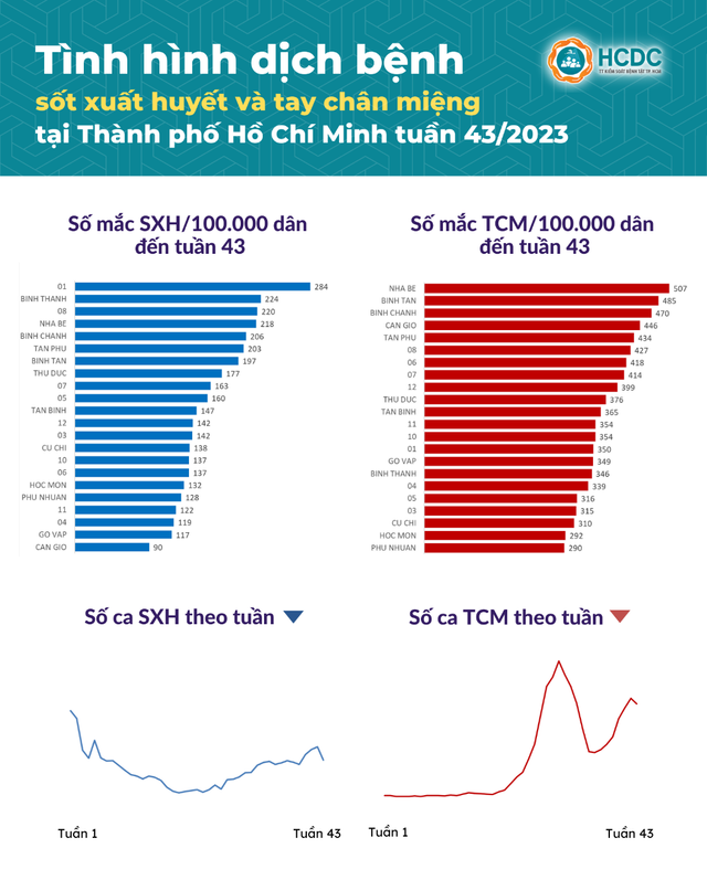 Ca mắc tay chân miệng tiếp tục tăng tại TP. Hồ Chí Minh - Ảnh 1.