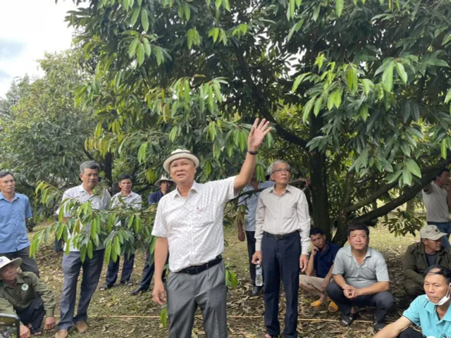 HTX Đạ M’Ri – Cách làm thương hiệu ở thủ phủ sầu riêng Đạ Huoai - Ảnh 1.