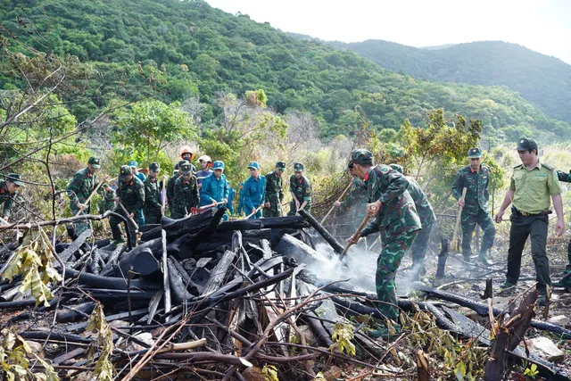 Côn Đảo: Huy động hàng trăm người diễn tập phòng chống cháy rừng - Ảnh 1.