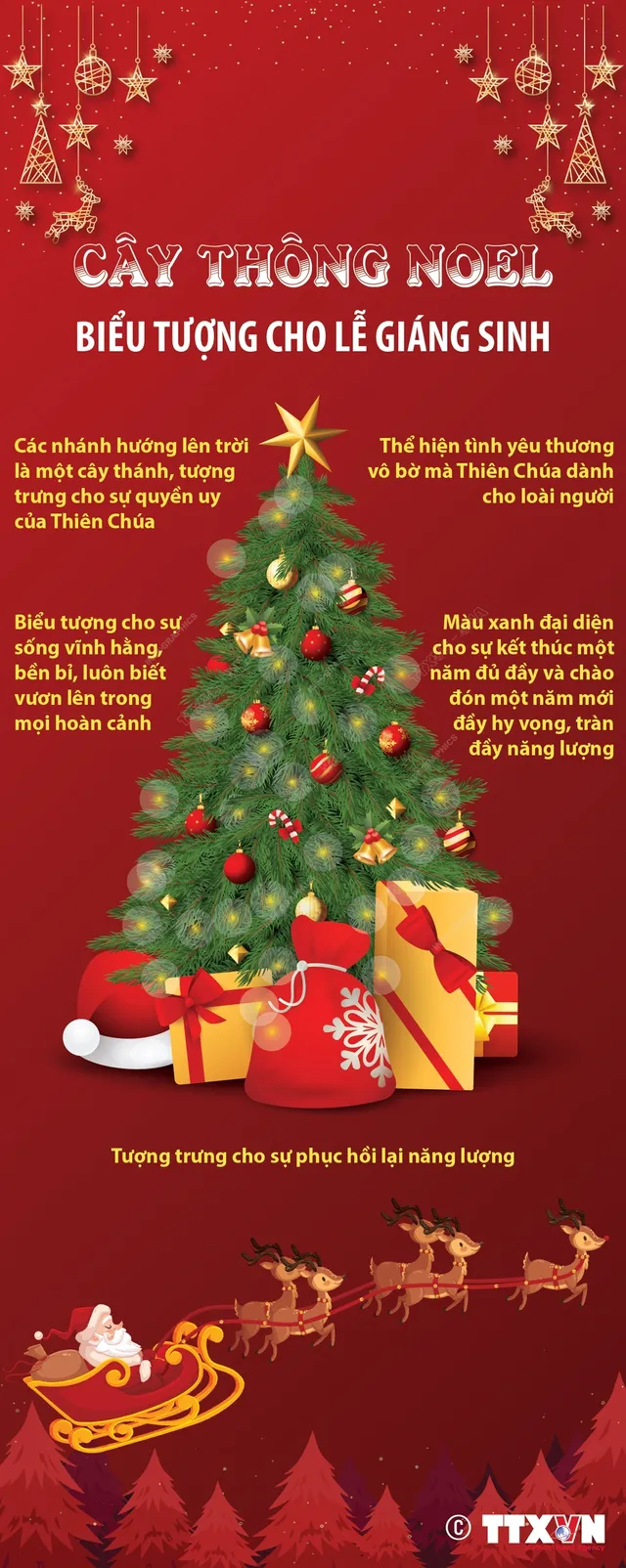 Ý nghĩa của cây thông Noel trong lễ Giáng sinh - Ảnh 1.