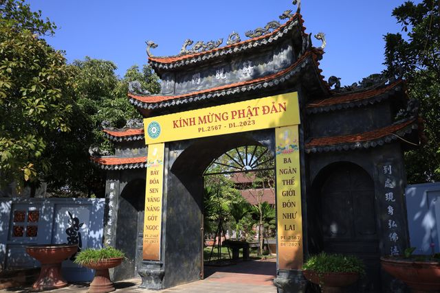 Chiêm ngưỡng 2 cây di sản hàng trăm tuổi ở chùa Hưng Long - Ảnh 1.