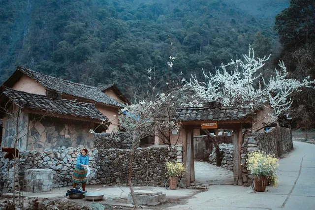 Những điểm nhấn đưa Hà Giang thành Điểm đến du lịch mới nổi hàng đầu châu Á - Ảnh 4.