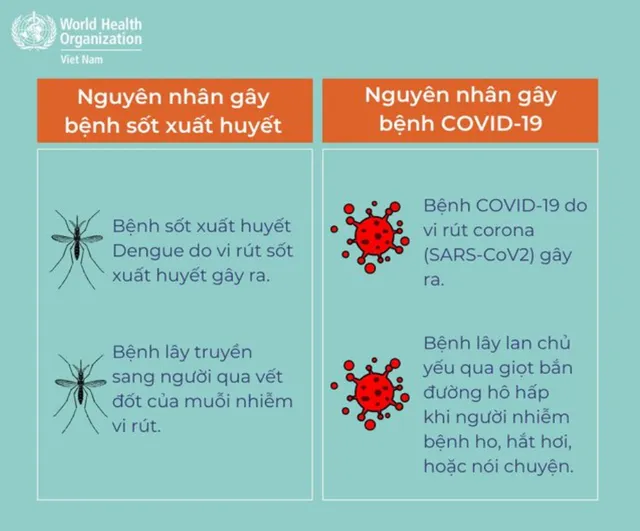 Cách phân biệt sốt xuất huyết và COVID-19 - Ảnh 2.