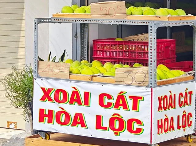 Xoài cát Hòa Lộc giá rẻ chưa từng có - Ảnh 4.