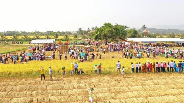 Sôi nổi Lễ hội Ngày mùa - Tinh hoa lúa nước ở Quảng Ngãi - Ảnh 1.