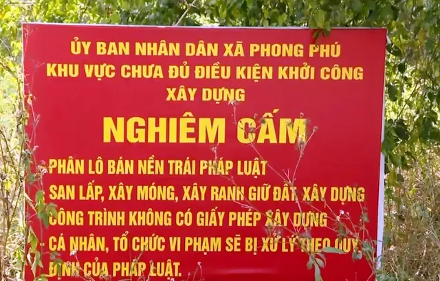 Xử lý dứt điểm sự việc tại dự án Nam - Nam Sài Gòn  - Ảnh 2.