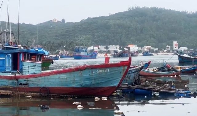 Xác tàu đắm nằm chờ dự án nạo vét cửa biển Sa Huỳnh - Ảnh 3.