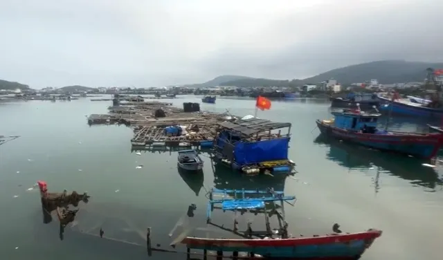 Xác tàu đắm nằm chờ dự án nạo vét cửa biển Sa Huỳnh - Ảnh 4.