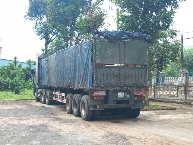 Phát hiện vụ vận chuyển gỗ lậu lớn ở vùng biên Gia Lai - Ảnh 2.