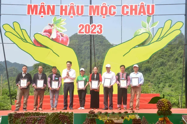 Sôi động ngày hội hái quả mận hậu 2023 - Ảnh 8.