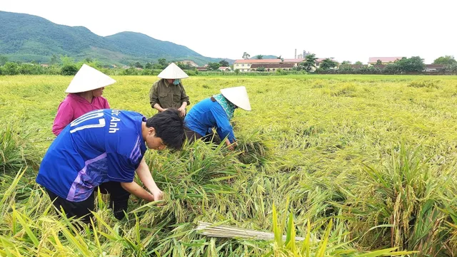 Mưa lớn, lốc xoáy gây thiệt hại tại nhiều địa phương - Ảnh 1.