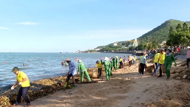 Vũng Tàu: Thu gom hàng trăm tấn rác biển trôi dạt vào các bãi tắm - Ảnh 2.