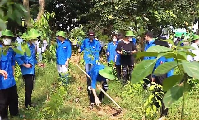 Phòng chống sa mạc hóa, hạn hán do El Nino - Ảnh 4.