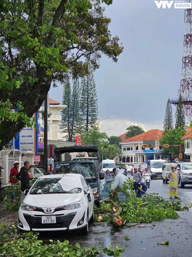 Đà Lạt: Nhiều cây to gãy đổ sau mưa lớn, đè lên ô tô - Ảnh 4.