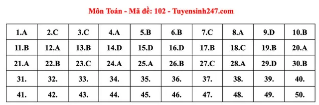 Gợi ý đáp án đề thi Toán tốt nghiệp THPT 2023 - Ảnh 14.