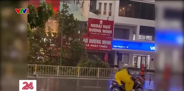 TP Hồ Chí Minh: Cây dầu 20 mét bật gốc ngã đổ trong cơn giông - Ảnh 1.
