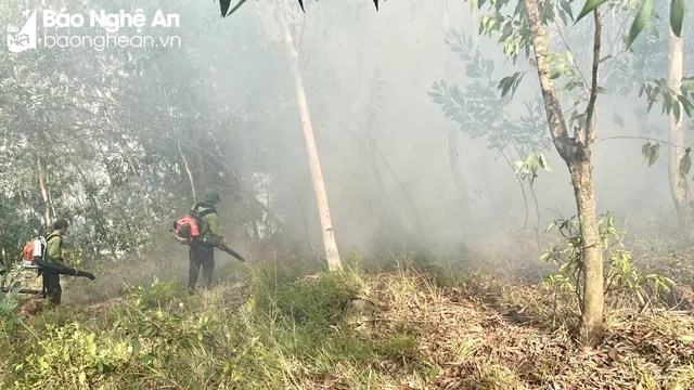 Cháy rừng tại Nghệ An - Ảnh 2.