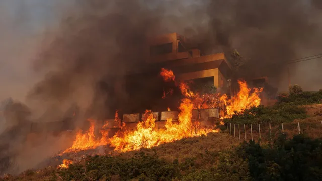 Cháy rừng bùng phát ở Hy Lạp, hàng nghìn người phải sơ tán - Ảnh 1.