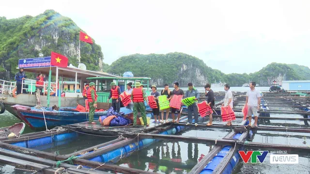 Đảo Cát Hải: Phòng chống bão số 1 với tinh thần cao nhất - Ảnh 5.