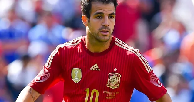 Cesc Fabregas giải nghệ ở tuổi 36 - Ảnh 3.