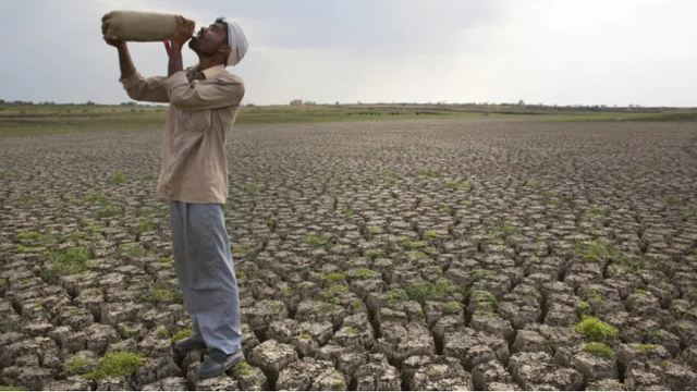 Ấn Độ mất mùa và nỗi lo lương thực toàn cầu - Ảnh 1.