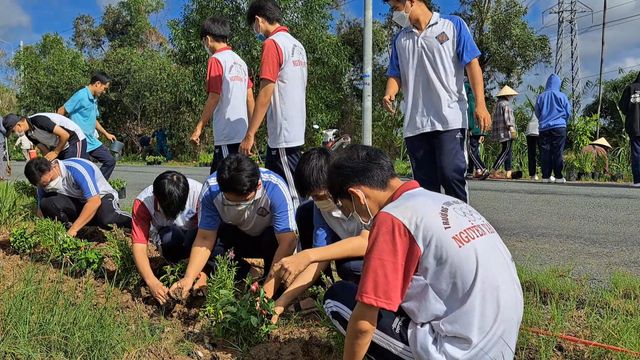 Tiền Giang: 36.000 giỏ hoa tươi được trồng trên nhiều tuyến đường nông thôn - Ảnh 2.