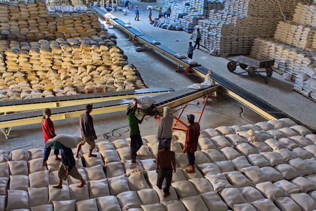 Ấn Độ cấm xuất khẩu gạo: Thời cơ và thách thức - Ảnh 1.