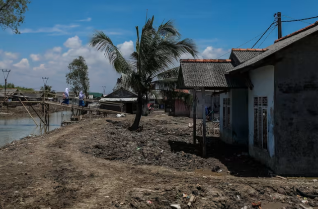 Cuộc sống ở ngôi làng Indonesia đang chìm dần xuống biển - Ảnh 4.