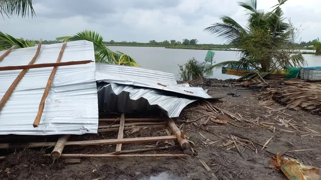 Bạc Liêu: Mưa to, giông lốc làm 1 người chết và 59 căn nhà bị sập, tốc mái. - Ảnh 1.