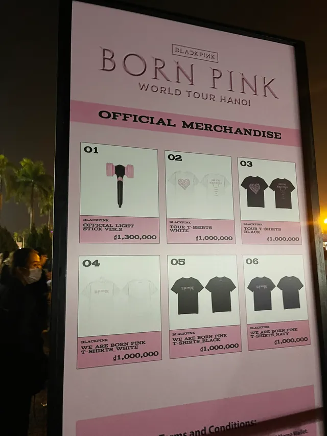 Đêm nhạc đầu tiên của BLACKPINK đốn tim fan Việt - Ảnh 8.