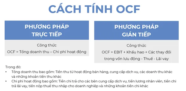 Giải đáp chất lượng lợi nhuận qua phân tích các chỉ số tài chính của Vinamilk - Ảnh 2.