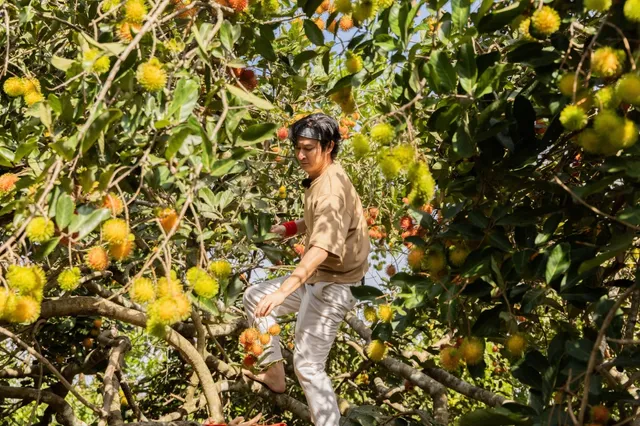 Đệ nhất mưu sinh: Huy Khánh bị thả giữa rừng cao su, Duy Khánh lạc ở cánh đồng trống không - Ảnh 4. Đệ nhất mưu sinh: Huy Khánh bị thả giữa rừng cao su, Duy Khánh lạc ở cánh đồng trống không - Ảnh 4.