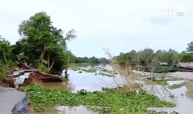 Sụt lún, sạt lở tại ĐBSCL ngày càng nghiêm trọng - Ảnh 13. Sụt lún, sạt lở tại ĐBSCL ngày càng nghiêm trọng - Ảnh 13.