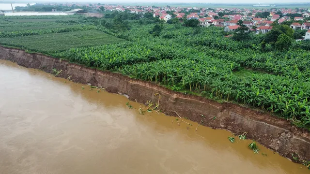 Sạt lở nghiêm trọng bờ sông Thao - Ảnh 2.