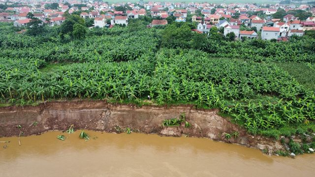 Sạt lở nghiêm trọng bờ sông Thao - Ảnh 1.