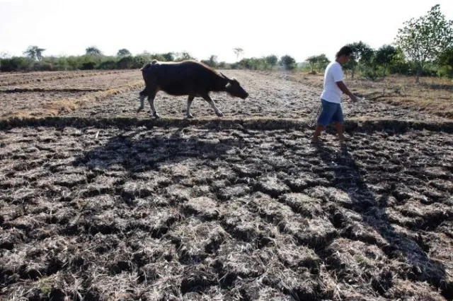 Trên 90% khả năng El Nino tiếp diễn vào mùa đông này - Ảnh 1.