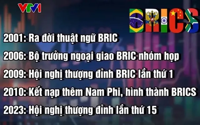 Hội nghị Thượng đỉnh BRICS - định vị vai trò của Nhóm trong thế giới nhiều biến động - Ảnh 3.