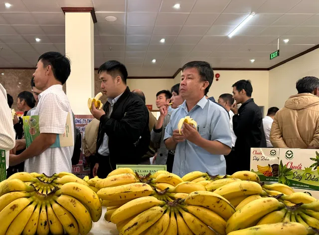 Phát triển nông nghiệp hữu cơ, tuần hoàn gắn với bảo vệ môi trường và đa dạng sinh học - Ảnh 4.