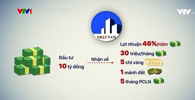 Cảnh báo nguy cơ rủi ro khi đầu tư vào công ty Bất động sản Nhật Nam - Ảnh 1.