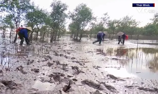 Đâu là ranh giới khu bảo tồn? - Ảnh 2.