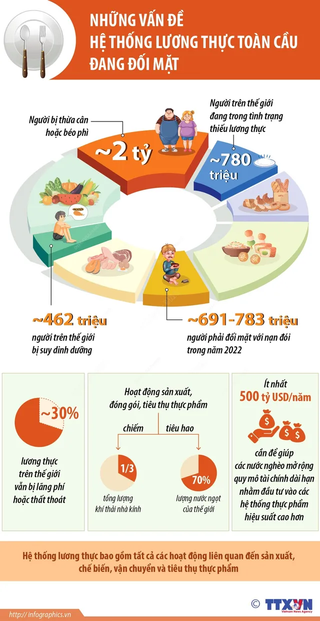 Những vấn đề hệ thống lương thực toàn cầu đang đối mặt  - Ảnh 1.