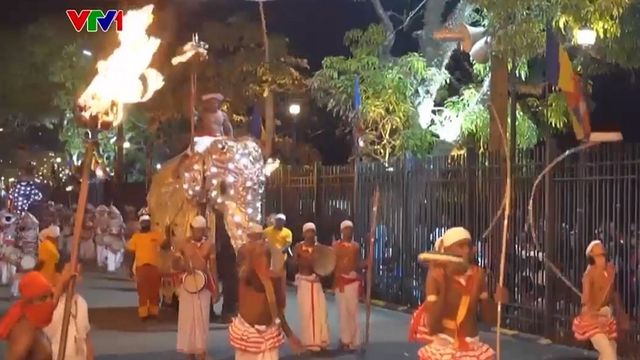 Rước xá lợi Phật - Lễ hội Phật giáo lớn nhất ở Sri Lanka - Ảnh 1.
